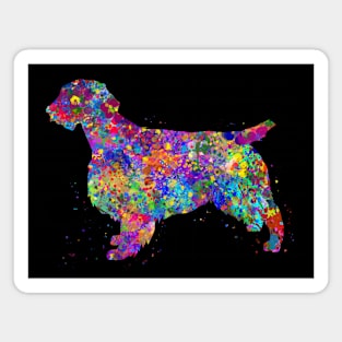 Welsh springer spaniel dog Magnet